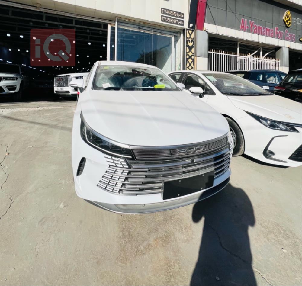 BYD Destroyer 05
